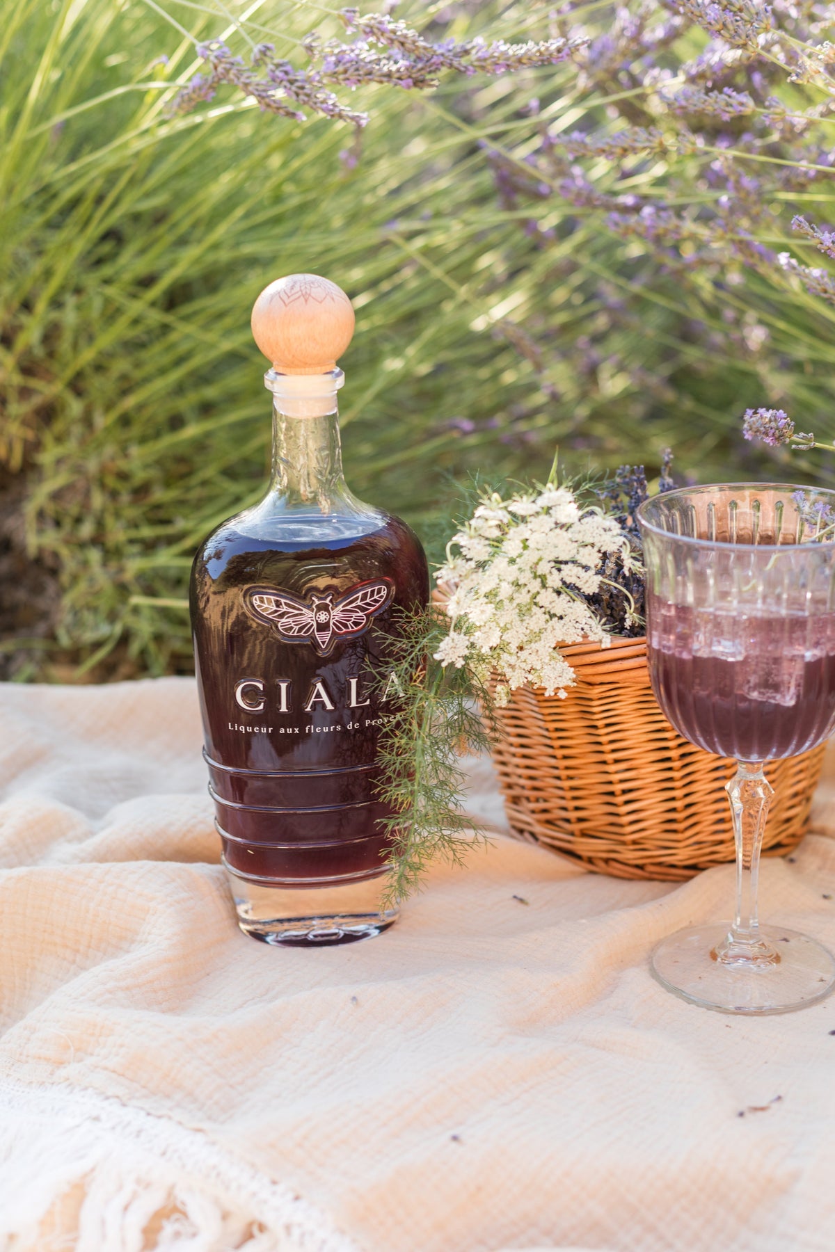 Panier, cigales et soleil : Le guide ultime du pique-nique provençal